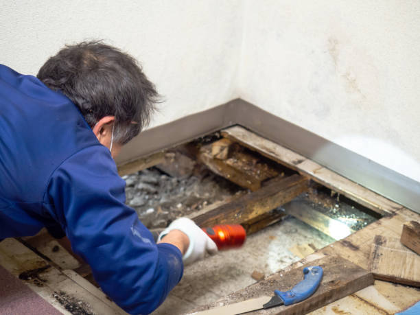 Best Water Damage Restoration  in Sunnyside, GA