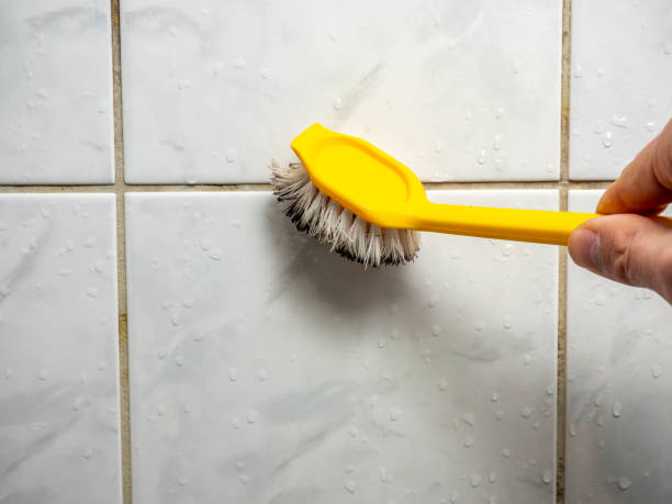 Best Mold Testing  in Sunnyside, GA