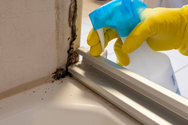Water Damage Restoration in Sunnyside, GA