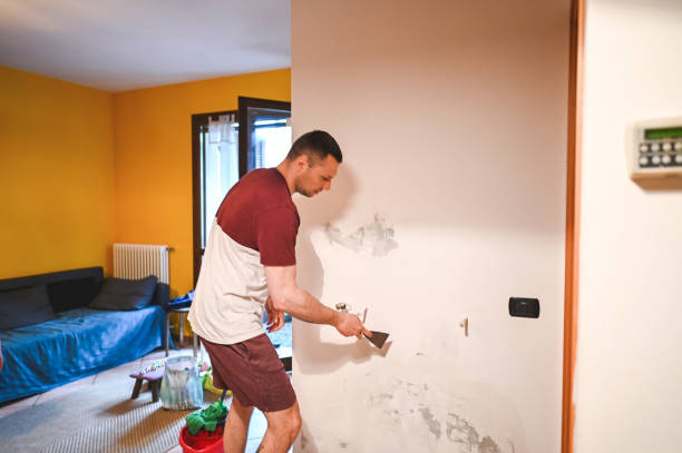 Best Fast Mold Removal  in Sunnyside, GA